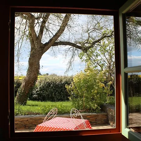 Logis De La Pichonnière Couette-café Charcé-Saint-Ellier-sur-Aubance