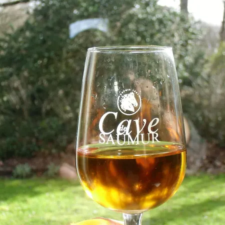 Logis De La Pichonnière Couette-café