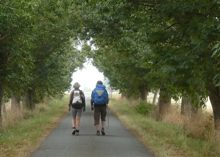 Logis De La Pichonniere B&B